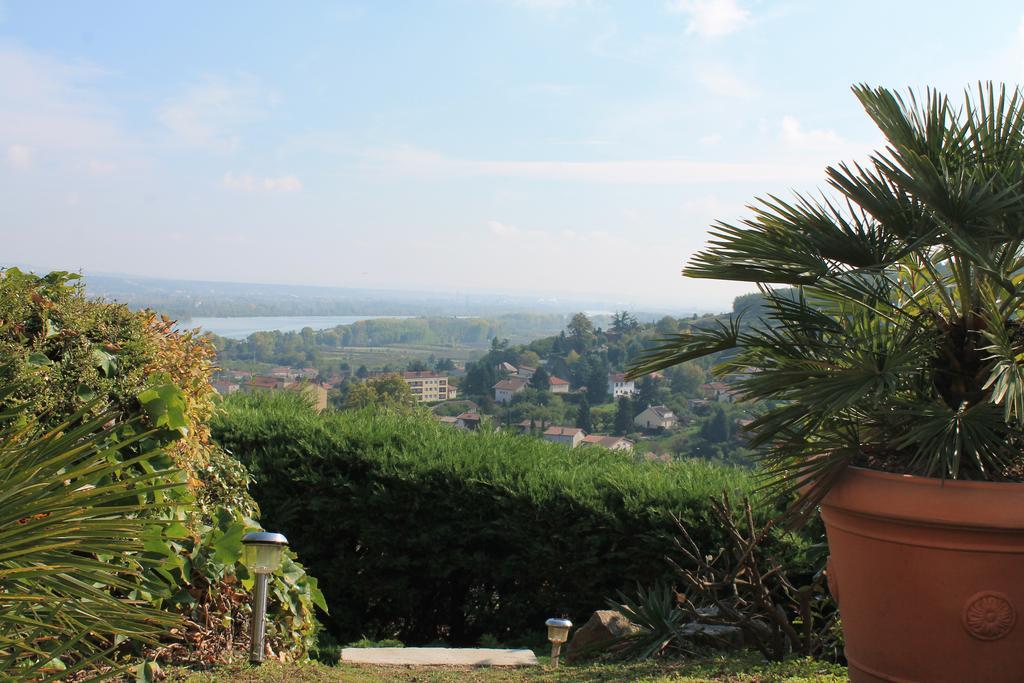 Wine Passion Panoramic Hotel Chavanay Ngoại thất bức ảnh