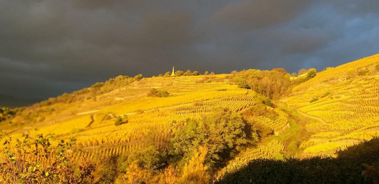 Wine Passion Panoramic Hotel Chavanay Ngoại thất bức ảnh
